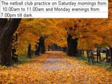 Image 1 for Chalke Valley Netball Club Contacts
