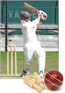 Image 1 for Cricket Club Web Site