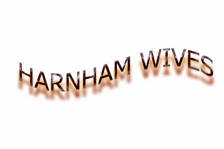 A picture for Harnham-Wives-Group