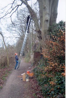 Image 1 for Owl Boxes