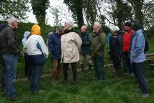 Image 1 for DAWN CHORUS WALK