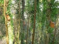 Click for a larger image of The Installation