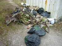 Click for a larger image of The  Pile
