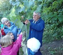 Image 2 for THE JUNIOR SCHOOL NATURE STUDY DAY