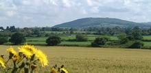 Click for a larger image of Blackmore Vale towards Duncliffe Hill