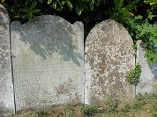 Click for a larger image of Gray family graves, East Stour, Dorset