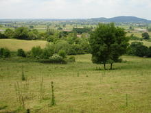 Click for a larger image of Blachford Farm, East Orchard, Dorset