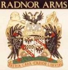 Image 1 for Radnor Arms