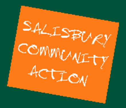 A picture for Salisbury-Council-for-Voluntary-Service