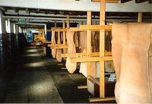 Click for a larger image of Tanning Process