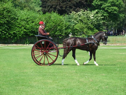 A picture for Stourhead-Show