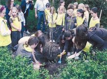 Image 1 for 2nd Winterbourne Brownies