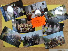 Image 2 for 2nd Winterbourne Brownies